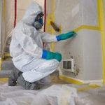 Mold-Remediation-in-Freehold-NJ