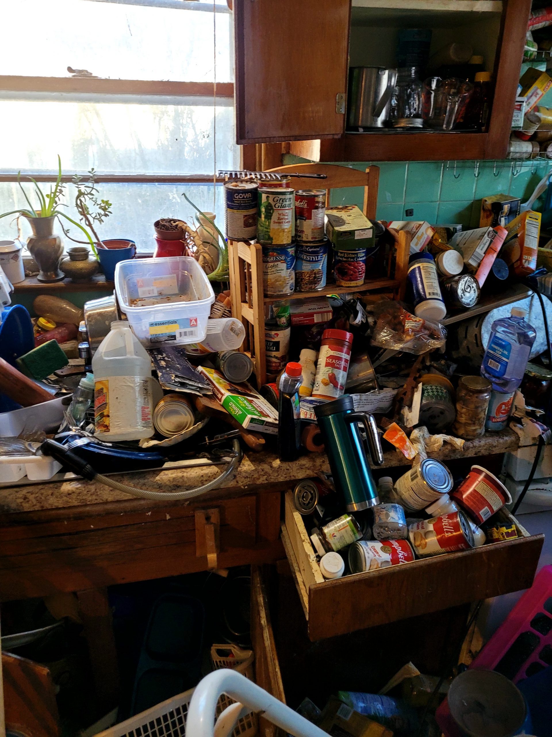 Hoarding needs to be cleaned 