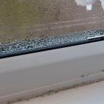 Mold and condensation on the window