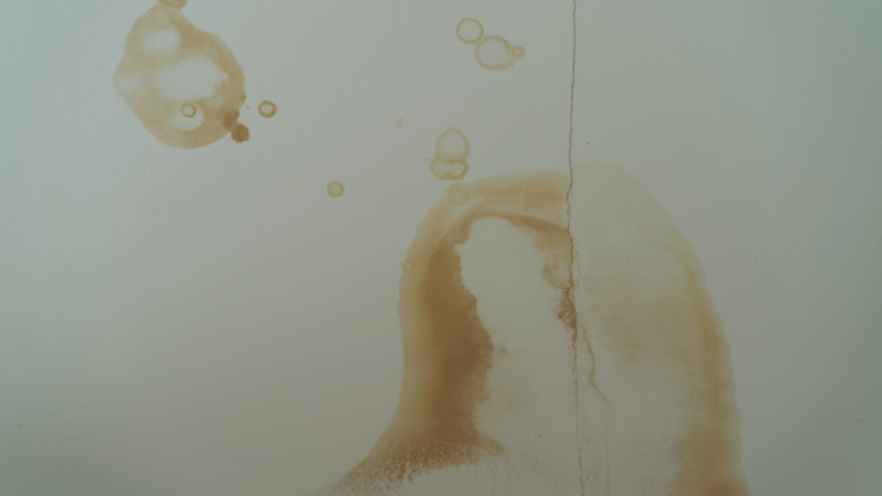 Water stain on the drywall