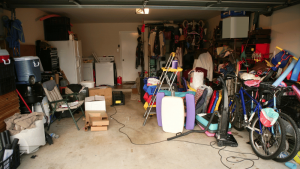 Mold in Garage
