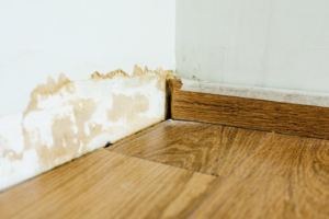 How Can You Tell if a Wall has Water Damage