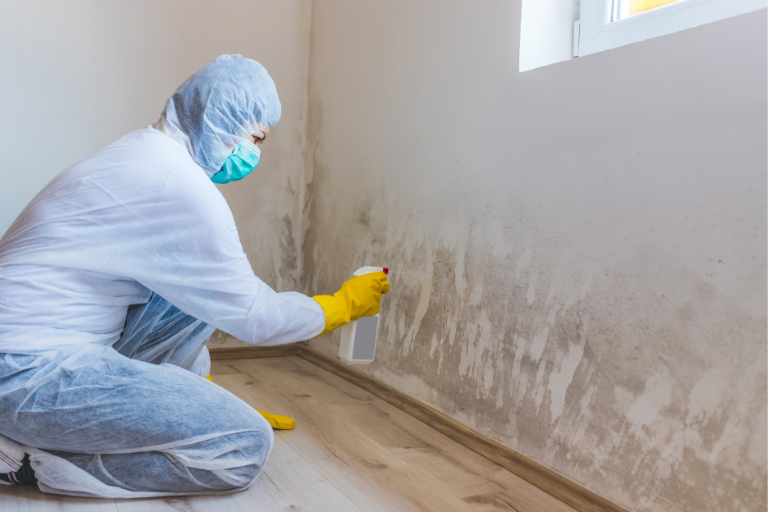 Tips to Keep Your Home Mold-Free After Water Damage