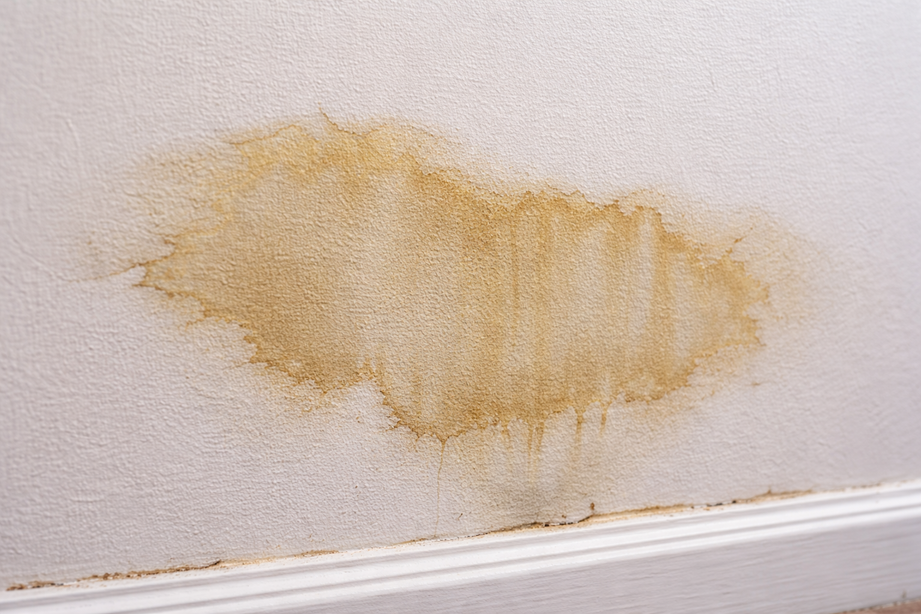 Water stain on the drywall